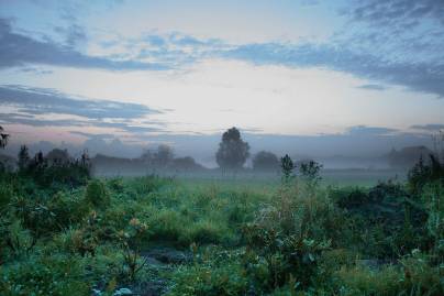 Frühlingsfoto von Czeslaw Gorski-006_abendlandschaft-nebelwiese