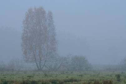 Frühlingsfoto von Czeslaw Gorski-008_abendlandschaft-nebelwiese