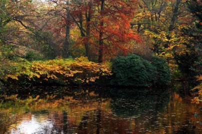 Frühlingsfoto von Czeslaw Gorski-024_herbst-im-spiegel-des-sees