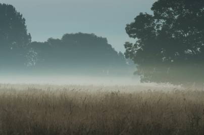 Frühlingsfoto von Czeslaw Gorski-028_herbstapfel