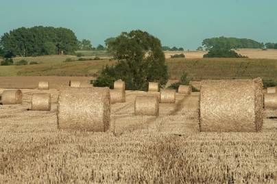 Frühlingsfoto von Czeslaw Gorski-045_ernte-strohrollen-auf-dem-feld