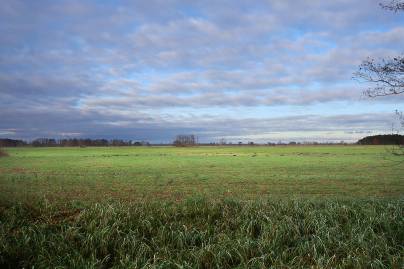 Frühlingsfoto von Czeslaw Gorski-058_herbstfoto-weite-brandenburger-wiese