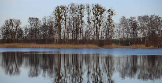 Frühlingsfoto von Czeslaw Gorski-073_herbssee-in-bruesow