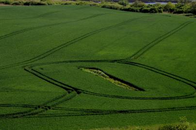 Frühlingsfoto von Czeslaw Gorski-029_eine-vogelperspektive-auf-ein-weizenfeld