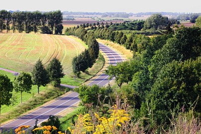 Frühlingsfoto von Czeslaw Gorski-002_blick-von-der-bruessow-pyramide-auf-die-strasse-nach-fahrenwalde