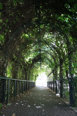 Frühlingsfoto von Czeslaw Gorski-003_buergersteig-im-gruenen