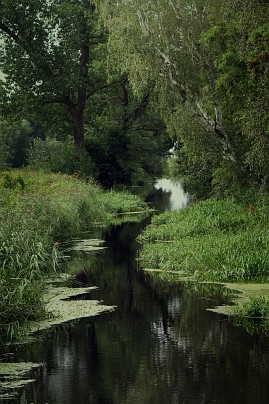 Frühlingsfoto von Czeslaw Gorski-006_ein-kleiner,-mit-schilf-bewachsener-fluss