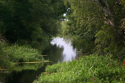 Frühlingsfoto von Czeslaw Gorski-007_ein-kleiner-fluss-voller-schilf-und-weiden