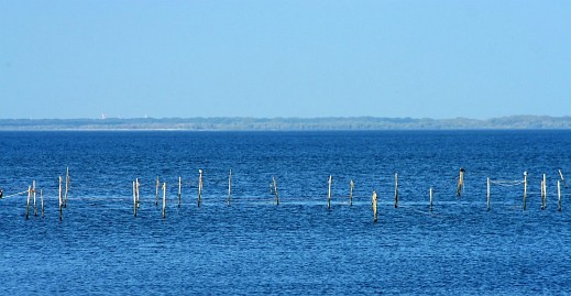 Frühlingsfoto von Czeslaw Gorski-011_fischernetze-im-stettiner-haff