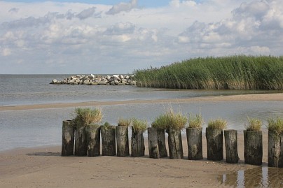 Frühlingsfoto von Czeslaw Gorski-016_hundestrand-in-ueckermuende