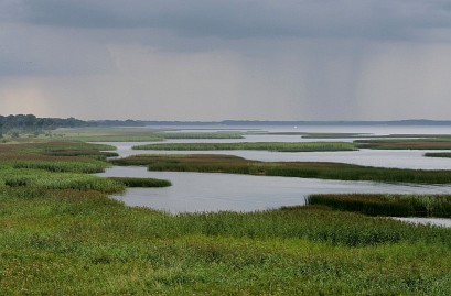 Frühlingsfoto von Czeslaw Gorski-031_schilfgebiete-und-suempfe-am-stettiner-haff