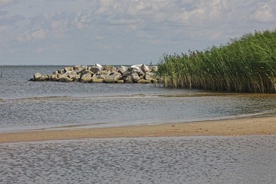 Frühlingsfoto von Czeslaw Gorski-045_strand-in-ueckermuende