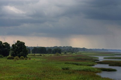 Frühlingsfoto von Czeslaw Gorski-046_suempfe-und-schilfgebiete-am-stettiner-haff-regen-in-der-ferne