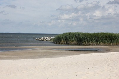 Frühlingsfoto von Czeslaw Gorski-050_ueckermuende,-hundestrand