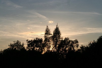 Frühlingsfoto von Czeslaw Gorski-051_untergehende-sonne-auf-der-wald-waldsiluethe