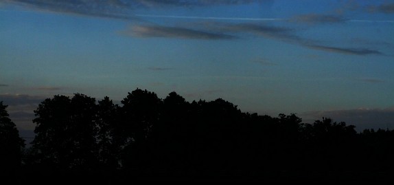 Frühlingsfoto von Czeslaw Gorski-053_wald-nach-sonnenuntergang