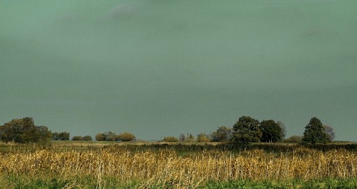 Frühlingsfoto von Czeslaw Gorski-056_wiese-mit-schilf-am-stettiner-haff