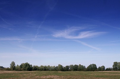 Frühlingsfoto von Czeslaw Gorski-057_wiese-mit-wolkenlosem-himmel