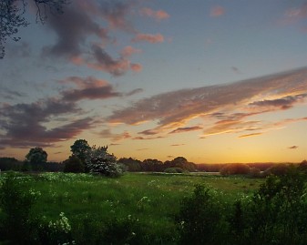 Frühlingsfoto von Czeslaw Gorski-058_wiesen-vor-sonnenuntergang-in-mecklenburg