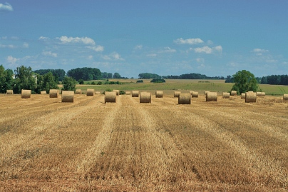 Sommer Foto von Czeslaw Gorski-075_erntezeit