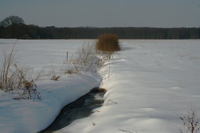 Winterfoto von Czeslaw Gorski-017_graben-mit-wasser-in-einem-schneefeld