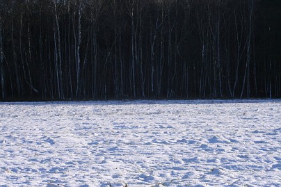 Winterfoto von Czeslaw Gorski-022_schnee-auf-dem-feld-und-schwarze-waldwand