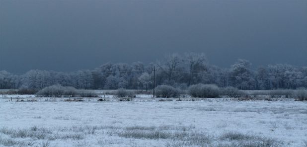 Winterfoto von Czeslaw Gorski-052_eine-schneebedeckte-wiese,-in-der-ferne-buesche