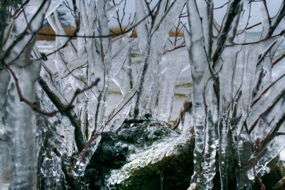 Winterfoto von Czeslaw Gorski-061_eiszapfen-auf-einem-ast