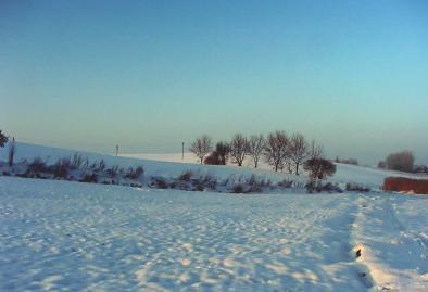 Winterfoto von Czeslaw Gorski-063_feld-in-den-sonnenstrahlen-mit-schnee-bedeckt