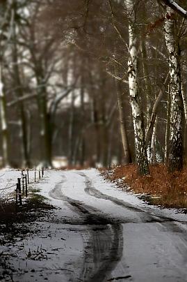 Winterfoto von Czeslaw Gorski-064_forststrasse-im-winter